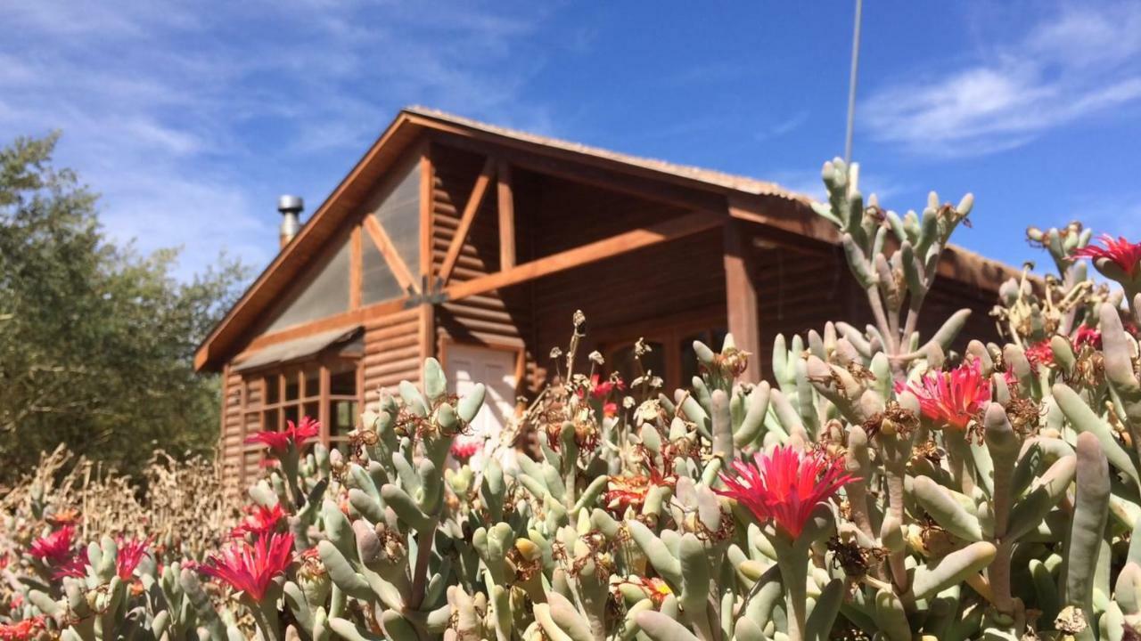 Cabanas Dona Juanita San Pedro de Atacama Buitenkant foto